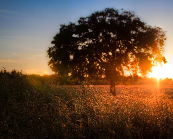 Click to view full screen - Sunset on the Monocacy Battlefield